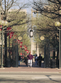 Temple University Belltower