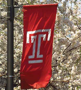 Temple Flag