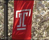 Image of Temple Flag