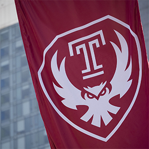 Picture of Temple’s Owl Transformed