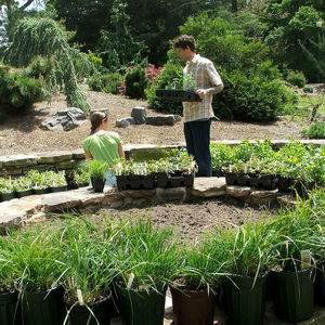 The Gardeners’ Market, co-hosted by the Ambler Arboretum of Temple University, will feature 20 different vendors.
