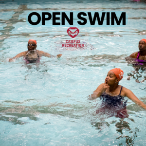 Photo of three swimmers in swimming pool.
