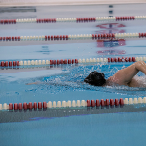 Person swimming in pool