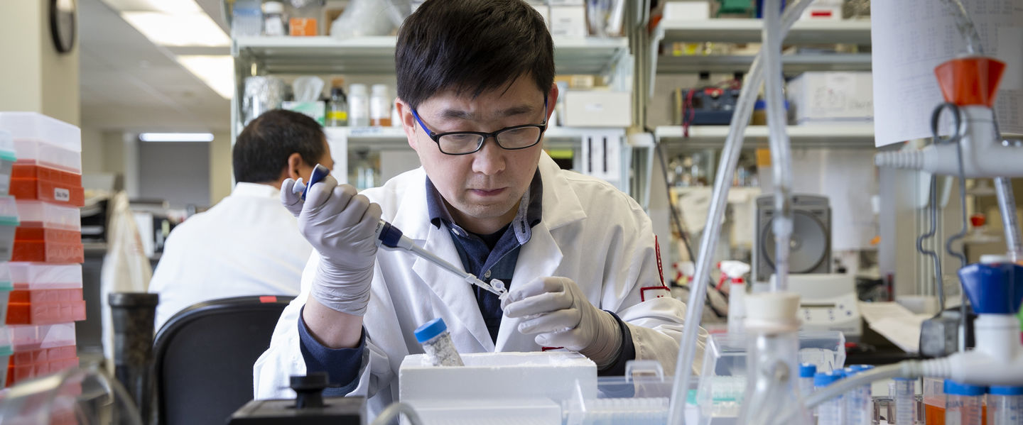 A researcher at the Lewis Katz School of Medicine at Temple uses CRISPR technology to help find a cure for HIV
