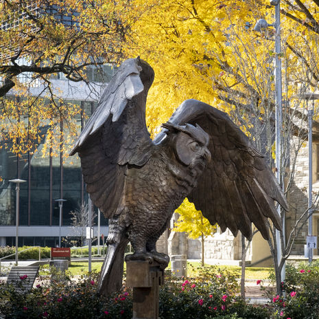 The Temple Owl statue in O'Connor Plaza on a sunny day