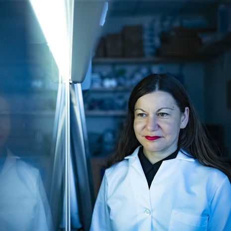 Bioengineering professor Bojana Gligorijevic in her lab at Temple