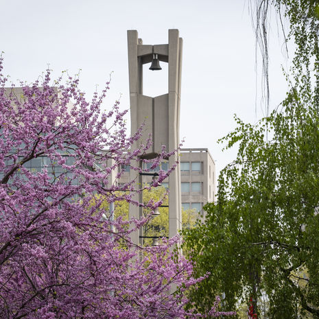 image of the Bell Tower in the springtime.