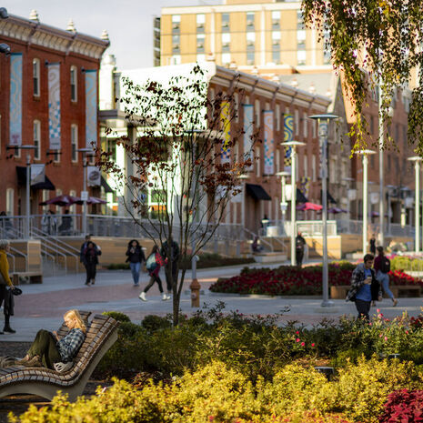 Students along O'Connor Plaza and Liacouras Walk
