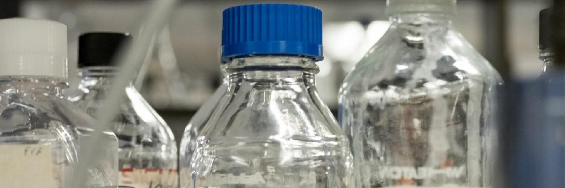 20180828_160_90_Giordano_002_bioinnovationpsm.jpg