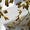 20121011_stock_008-High%20Res%20JPEG.jpg