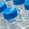 20150520_Chemistry_026.jpg
