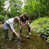Two environmental science students wearing waders and standing in a stream to test water.