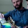 Professor and student examining coral 