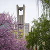 image of the Bell Tower in the springtime.