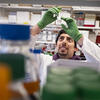 A researcher at Katz in the lab
