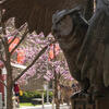 20240415_Spring_Stock_JVL_013-High%20Res%20JPEG%20300%20DPI.jpg