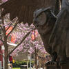 20240415_Spring_Stock_JVL_013-High%20Res%20JPEG%20300%20DPI_0.jpg