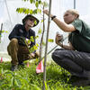 Two Temple Ambler Campus students working in the arboretum