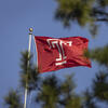 The cherry Temple T flag waving in the wind on a sunny day