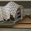 220421_Architecture_079%20USE%20THIS.jpg