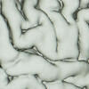 CLANeuroscienceMSBanner.jpg