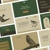 graphic design webpage by a student. 