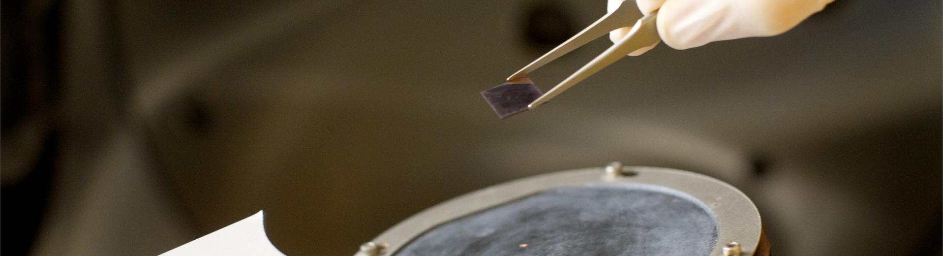 A Temple student holding tweezers performing an experiment in a lab.