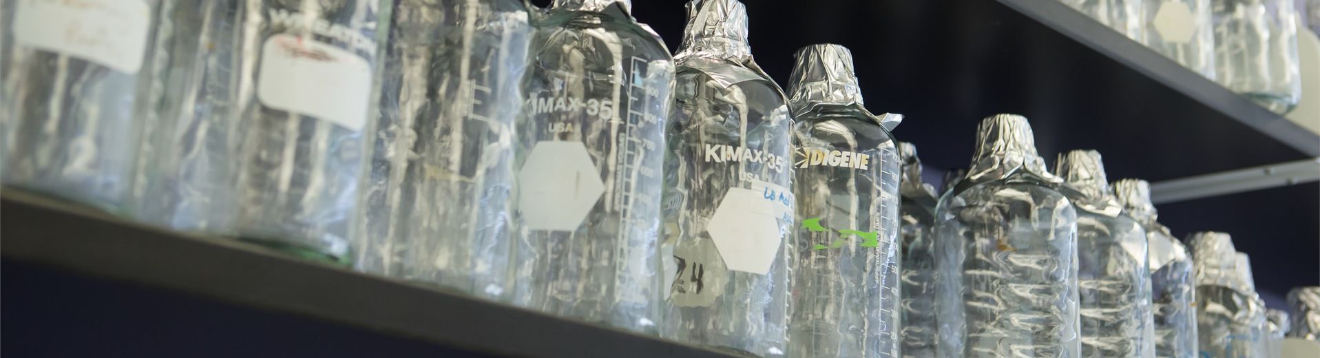 Line of labelled test tubes and glass bottles on a shelf in a neuroscience lab at Temple.