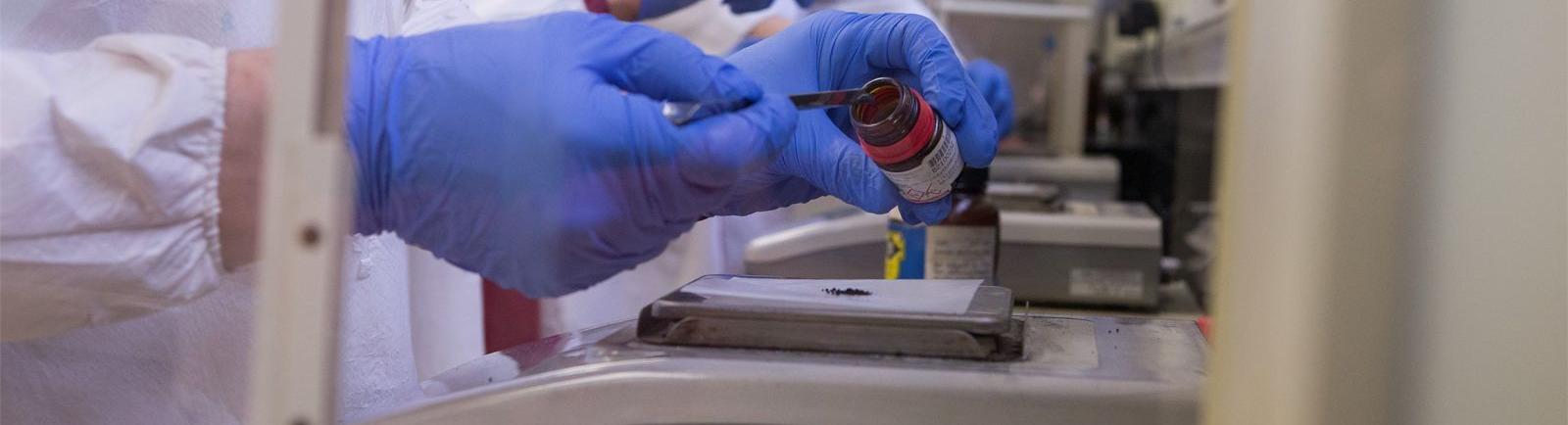 Temple University chemistry students in a lab wearing gloves take out material from a jar.