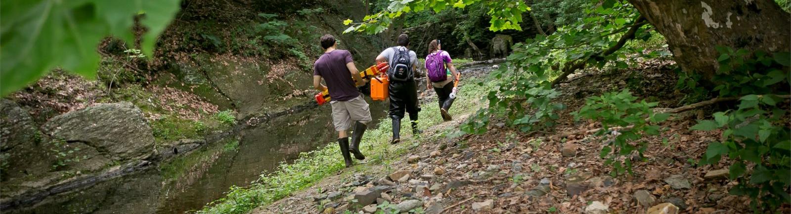 Three Temple students walking along a creek, carrying equipment.