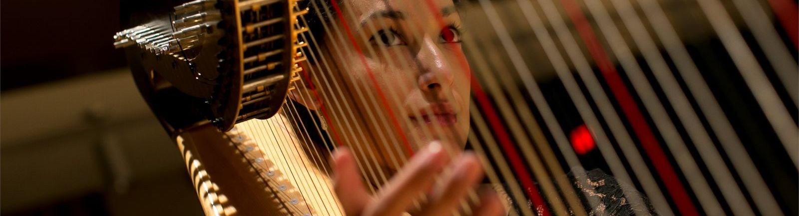 Woman playing the harp.