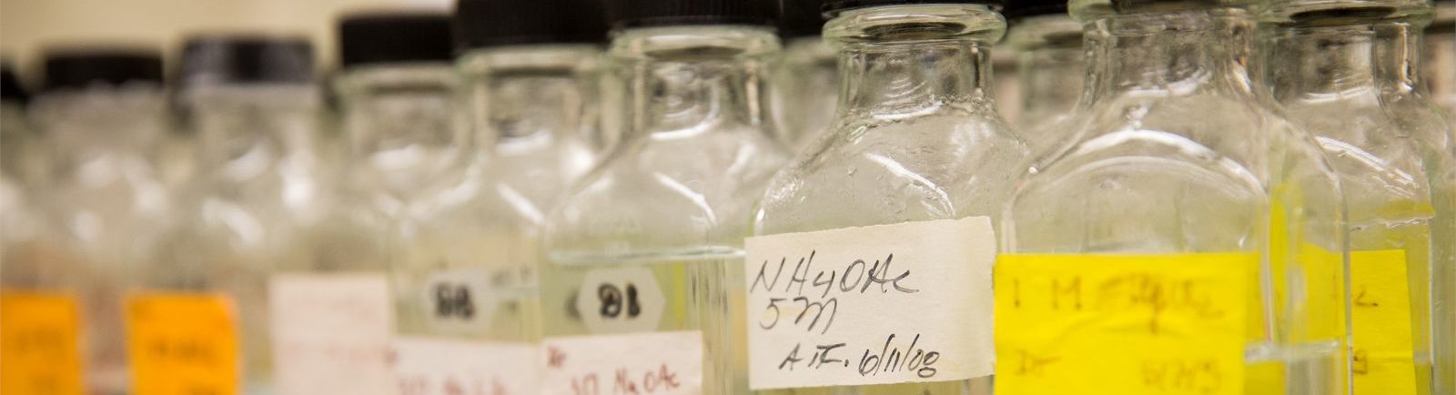 Glass containers with yellow labels lined up in a Biology lab