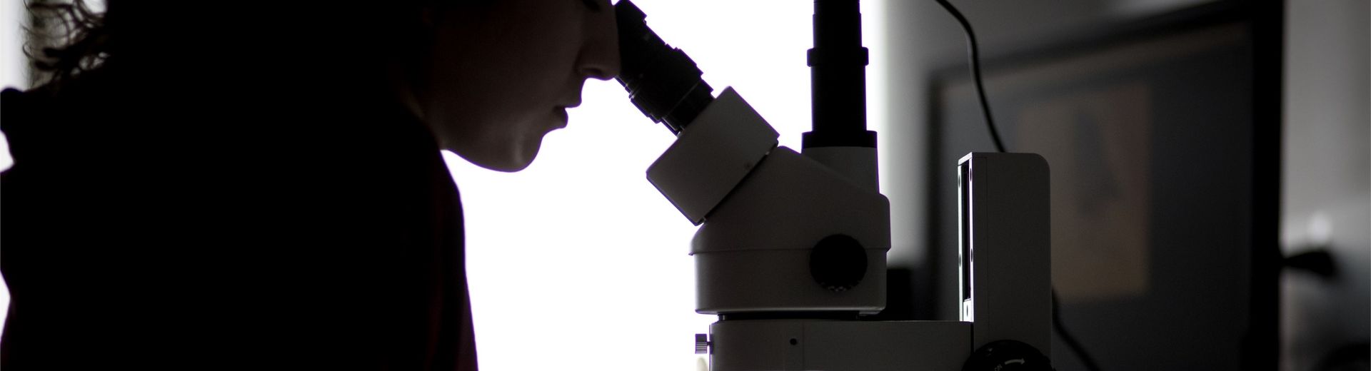 Biology student looking into a microscope in a research lab at Temple in the College of Science and Technology.