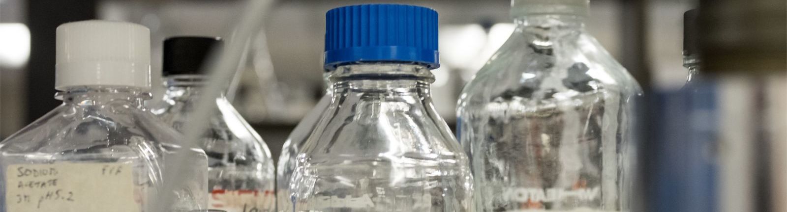 Beakers and glass bottles in a chemistry lab at Temple. 