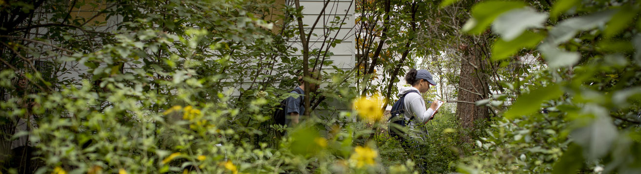 An image of a student doing research outside immersed in nature