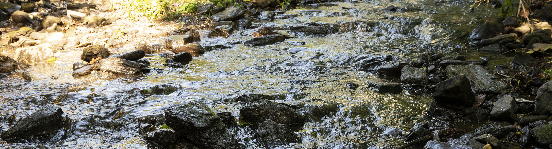 water moving down the creek.