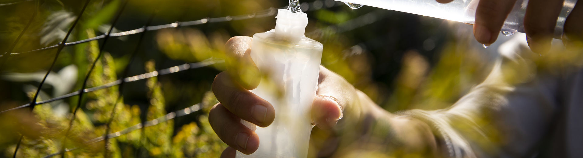 Biology student transferring water to a receptacle in the field