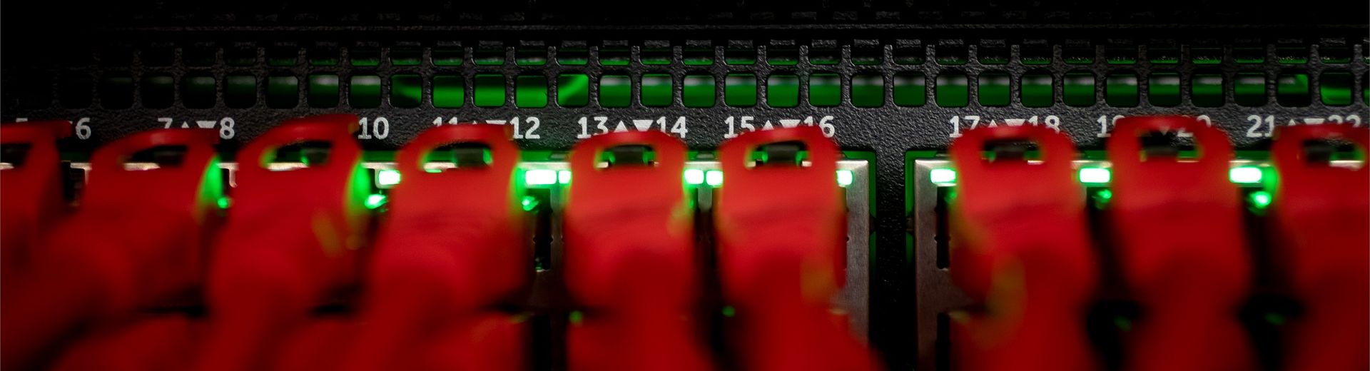 Close up image a row of white and red cables coming out of the back of a server with numbers written above the bottom row of red cables.