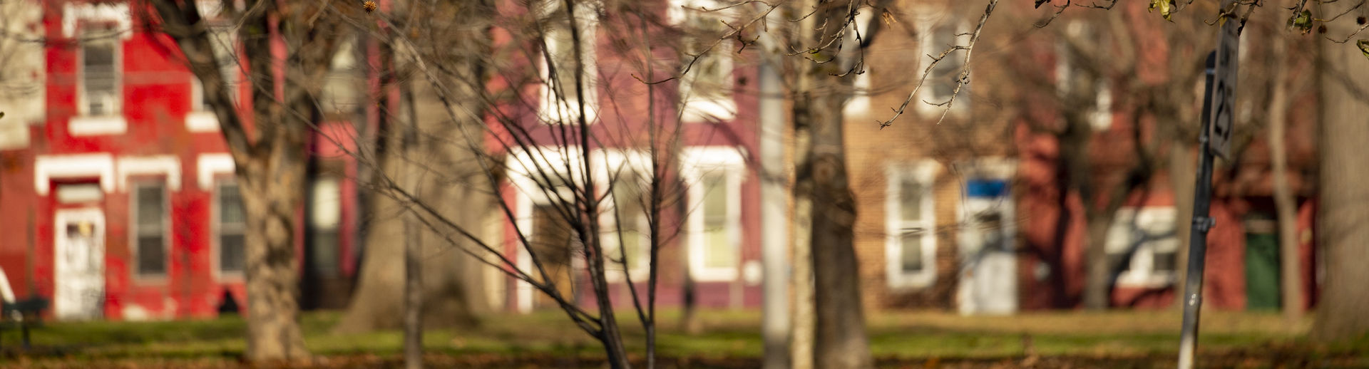 Philadelphia row homes in the fall.