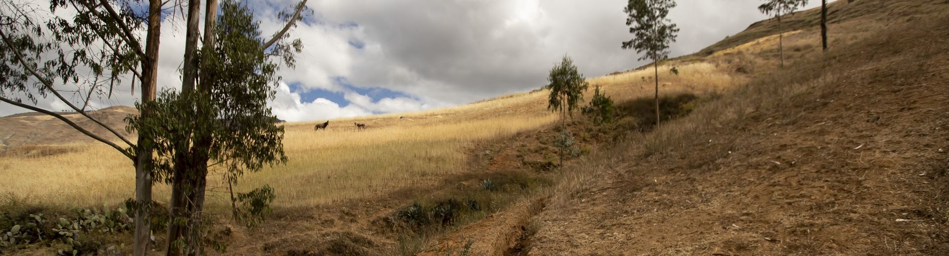 The countryside of Peru on a cloudy day