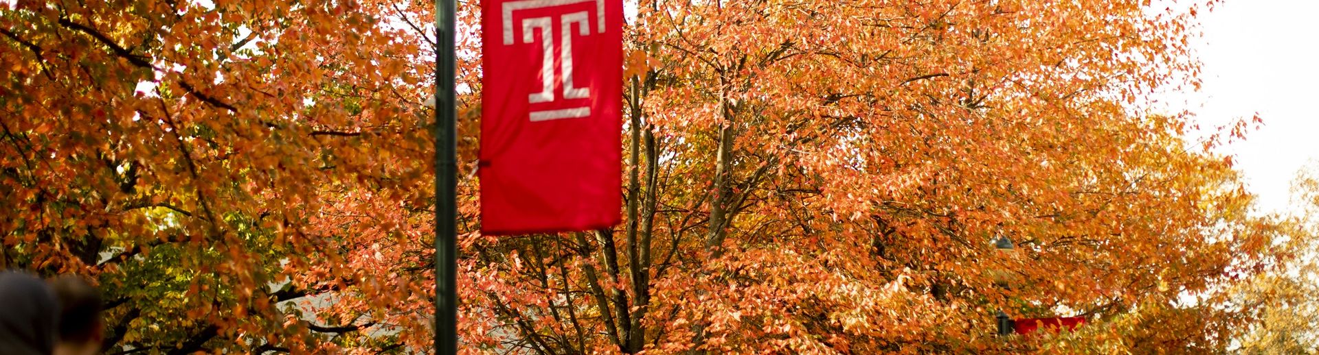 Students walking under a Temple T flag and trees with colorful autumn leaves
