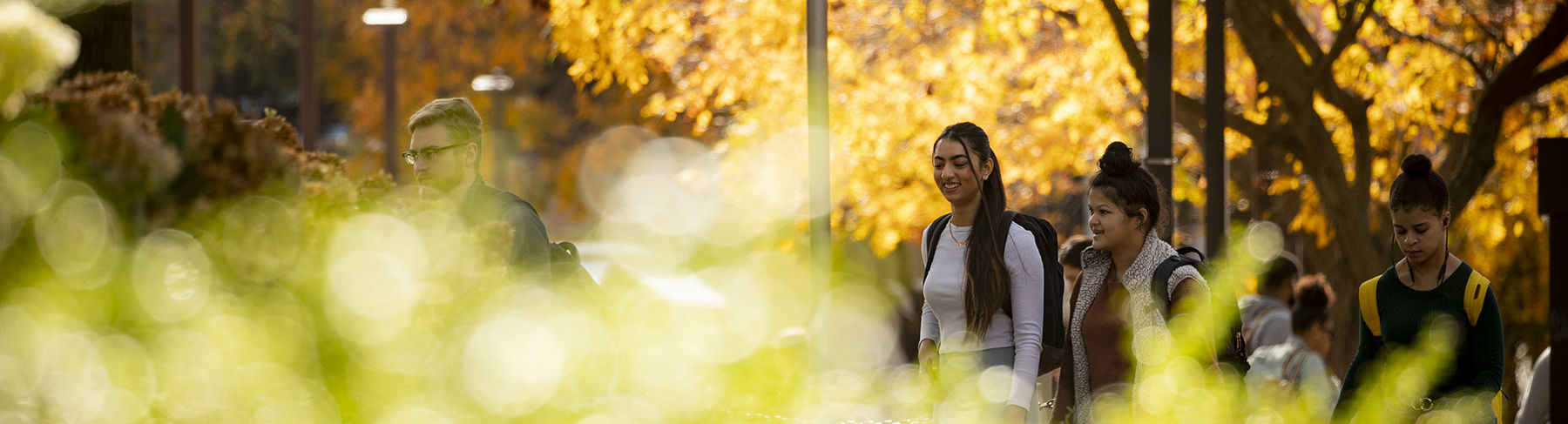 Students walk across Main Campus on a sunny fall day.