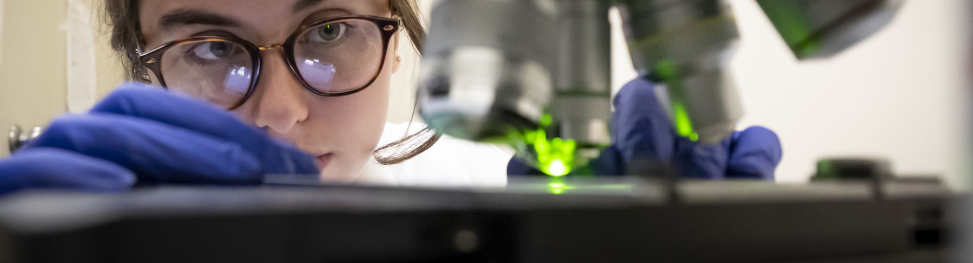 A student working in a research lab.