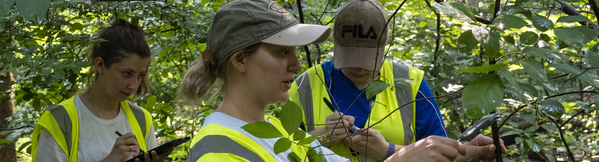 Students clip a section of a tree at the Ambler Field Station.