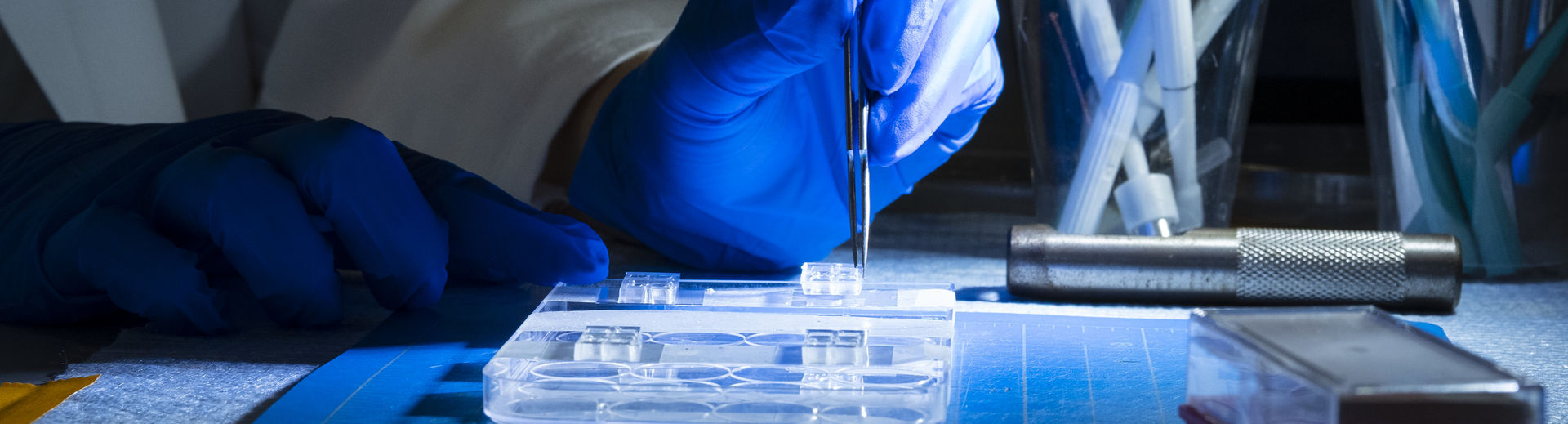 chemistry student testing in the lab.