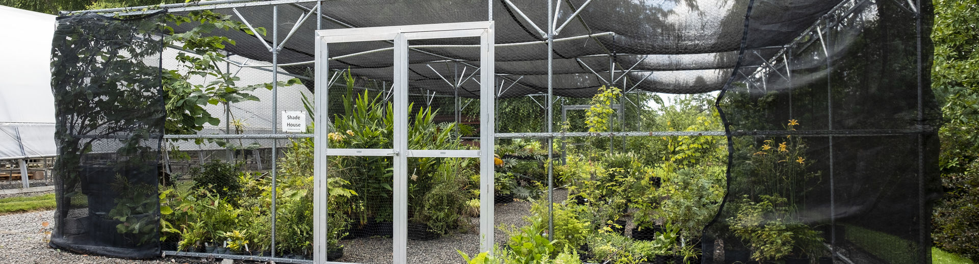 The greenhouse for Tyler horticulture students at Temple's Ambler Campus