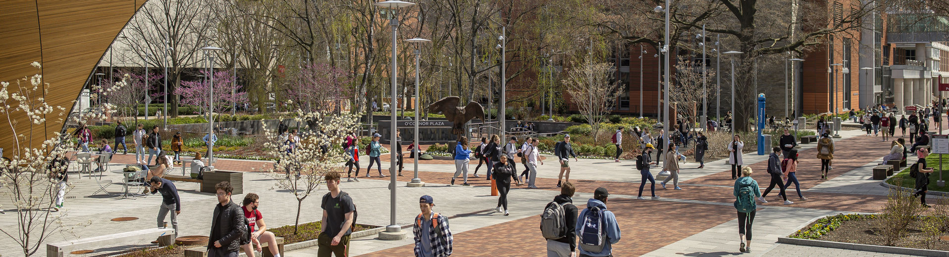 Temple students walking on Main Campus on a sunny spring day