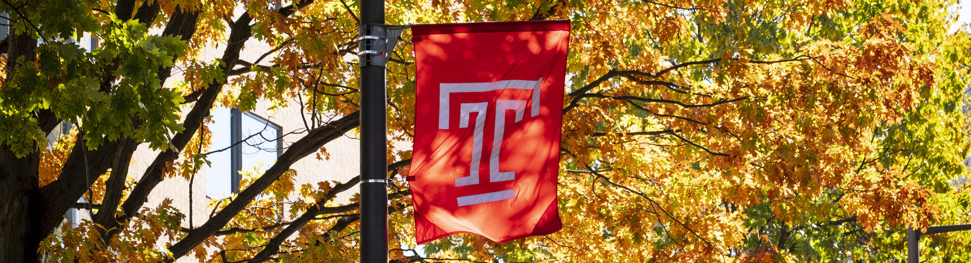 The cherry red Temple T flag on a fall day