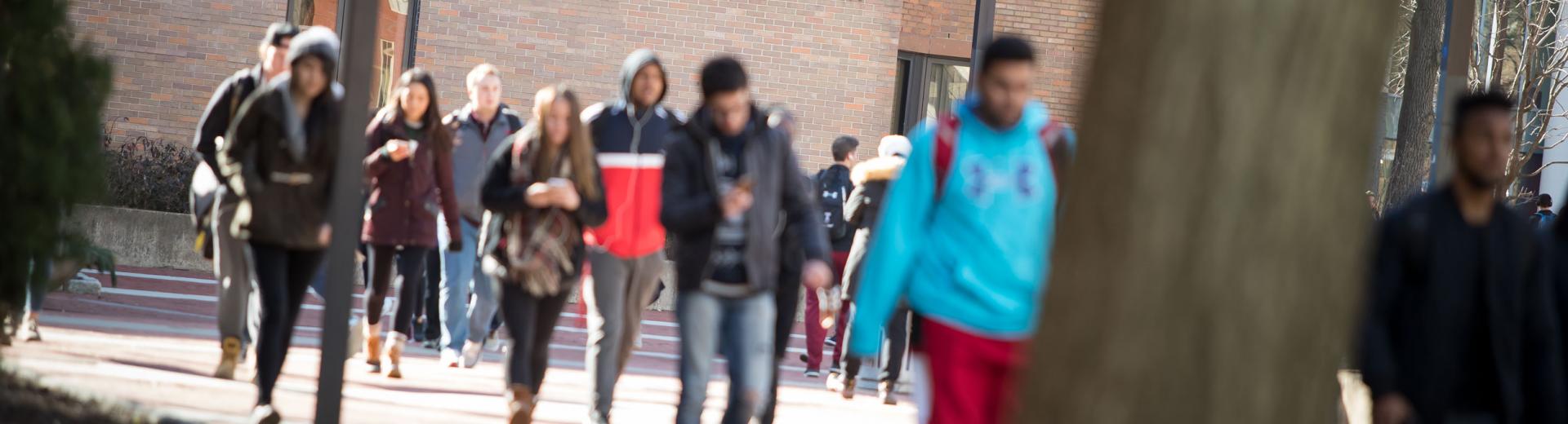 students walking on university campus during a class change