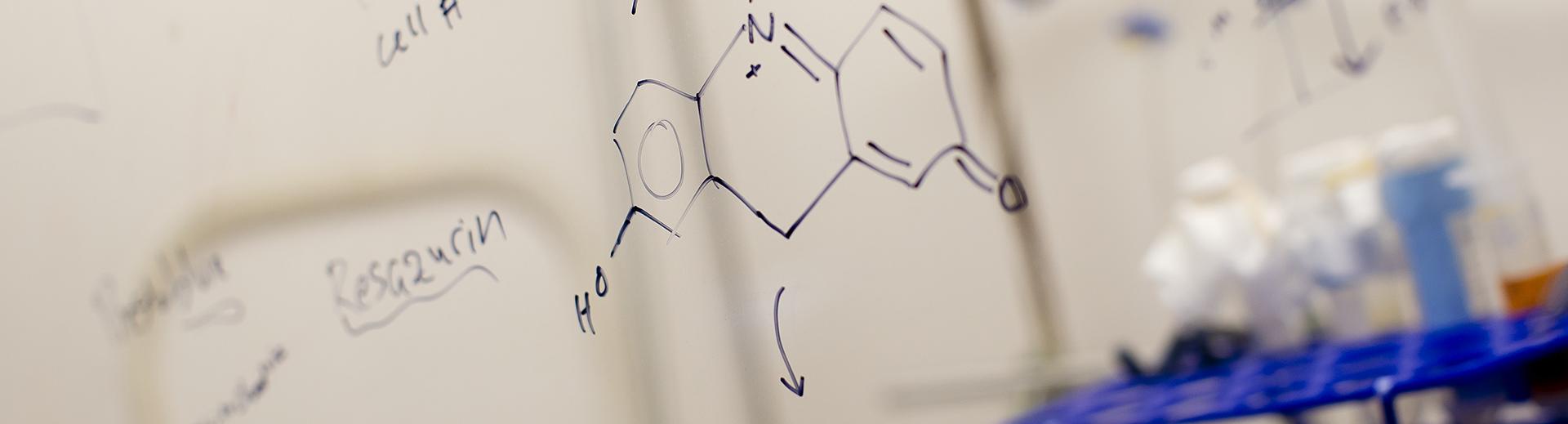 Formulas written on board in a bioengineering classroom